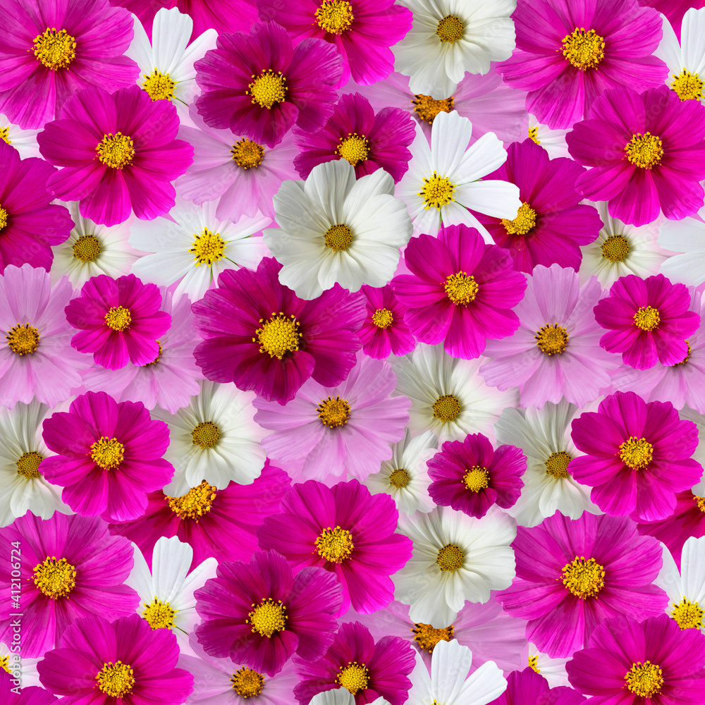 Wall mural flowers seamless pattern. multi-colored cosmos
