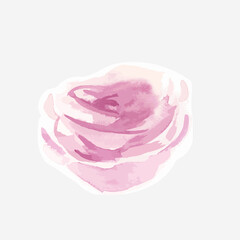 Hand drawn watercolor rose flower vector