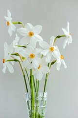  A bouquet of white daffodils in a glass vase on a silver background