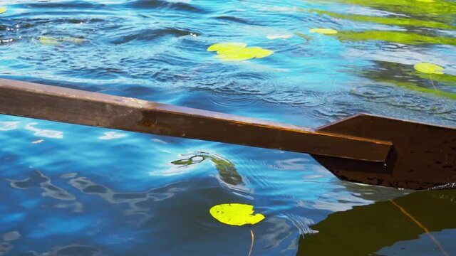 Boat sailing through the leaves of lilies at the lake in slow motion.
