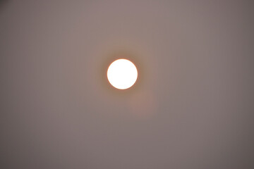 wild life in sudarbon, biggest delta in world