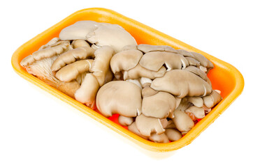 Fresh raw oyster mushrooms in package on white background