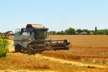 Obraz premium Combine harvester in action on wheat field. Process of gathering a ripe crop.