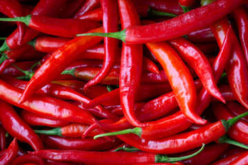 close up big red spicy thai chilli. Red spicy chili for background.