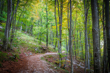 Autumn emotions in the Val d'Arzino. Magical Friuli.