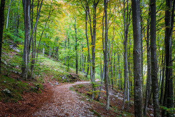 Fototapeta na wymiar Autumn emotions in the Val d'Arzino. Magical Friuli.