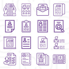 16 pack of cv  lineal web icons set