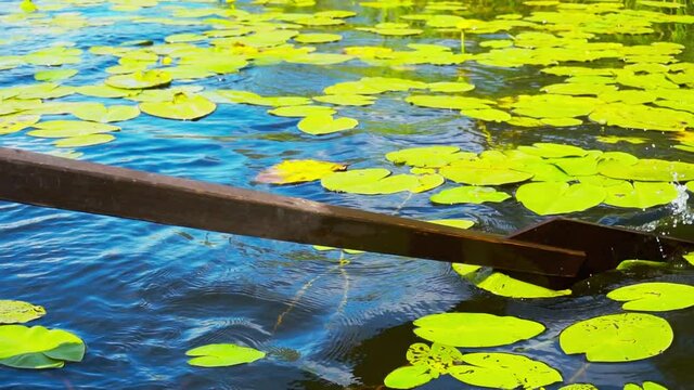 Boat sailing through the leaves of lilies at the lake in slow motion.
