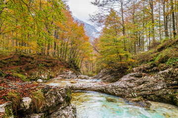 Obraz premium Autumn emotions in the Val d'Arzino. Magical Friuli.