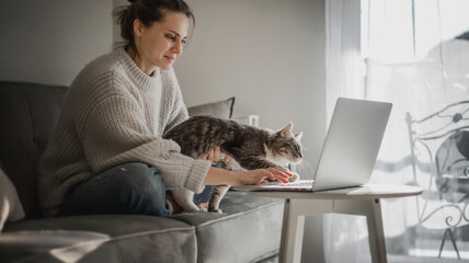 Beautiful cheerful young woman with cute gray cat working on laptop while sitting on sofa, remote...