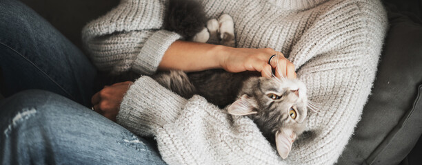 Beautiful gray fluffy cat sitting on the arms of a woman in a warm cozy sweater, top view banner...