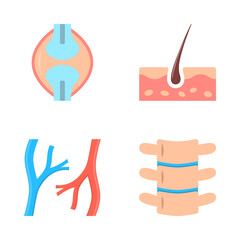 Human organs icon set in flat style