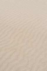 Fototapeta na wymiar Sand texture background with wave pattern and bird trails