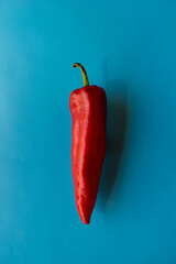 Red salad pepper lies on a blue table surface.