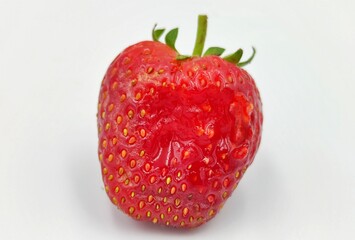 Strawberry rot