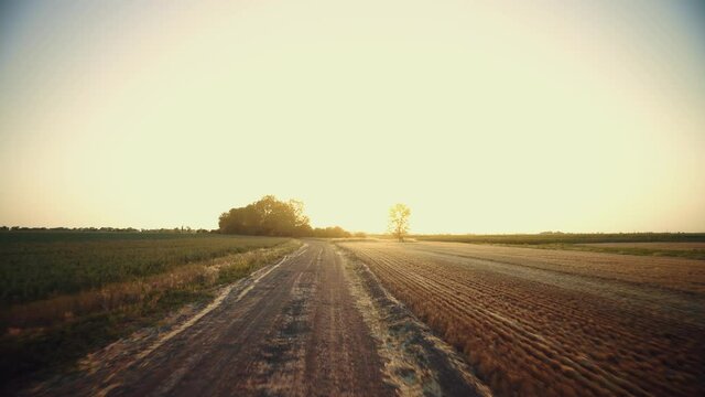 Dirt road at sunrise. The camera moves along a country road between fields. Rural landscape in the early morning. Summer evening over farmland. Path to sunset. Agriculture. 