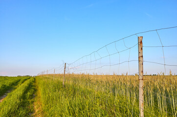 Agricultural field boundary wire fence against the blue sky at sunset.