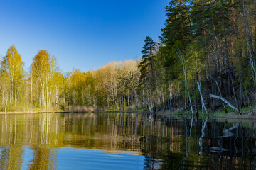 Lake in forest. Picture of nature.