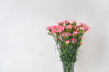 Clove carnation shabo flowers in a glass vase