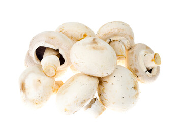 Bunch of fresh champignon mushrooms isolated on white background.