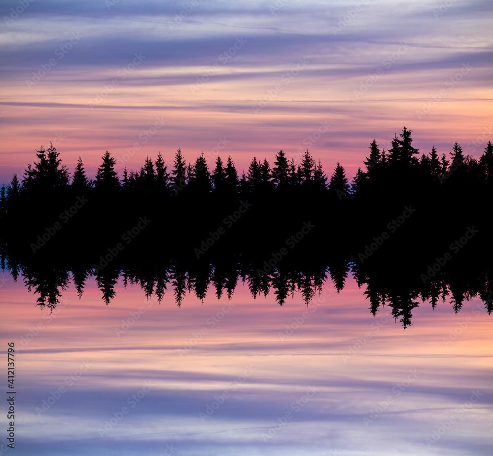 Wall mural abstract image with foggy forest that looks like sound-waves.