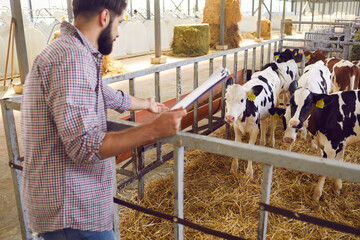 Young man farmer or farm owner standing with documants and communicating with cows
