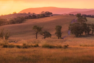 Fototapeta na wymiar Rolling hills rural countryside landscape near Rydal in the Blue Mountains National Park in NSW, Australia during a bright golden summer sunset or sunrise.