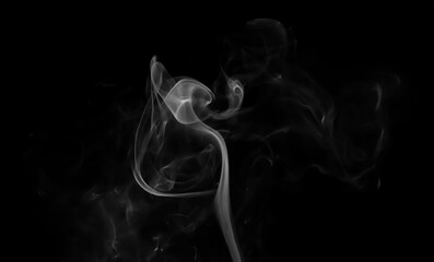 Fototapeta premium swirling movement of white smoke group, abstract line Isolated on black background