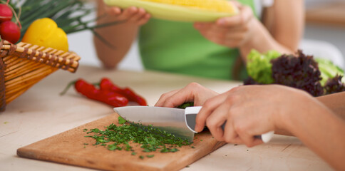 Close-up of human hands cooking vegetables salad in kitchen. Healthy meal and vegetarian concept