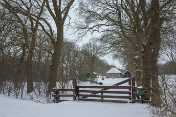 Winter at the Es Uffelte Westerveld Drenthe Netherlands. Snow and frost. wooden gate in front of small farmhouse.