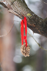 People left bird feed