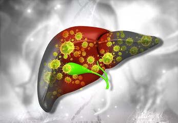 Human liver anatomy with hepatitis virus. 3d illustration.