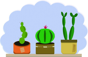 set of green cactuses  on the table, flowers, vector illustration, flat illustration