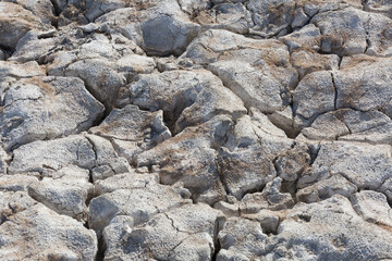 Dry cracked ground can be used as a background