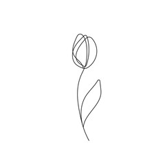 Fototapeta premium Tulip Line Art Drawing. Abstract Flower. Botanical Minimalist Trendy Contemporary Design Perfect for Wall Art, Prints, Social Media, Posters, Invitations, Branding Design.