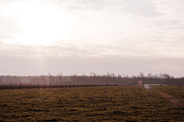 Slovikia ranch Tanami