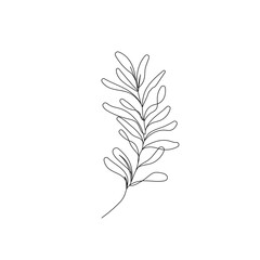 Leaves One Line Drawing. Continuous Line of Simple Flower Illustration. Abstract Contemporary Botanical Design Template for Minimalist Covers, t-Shirt Print, Postcard, Banner etc. Vector EPS 10.