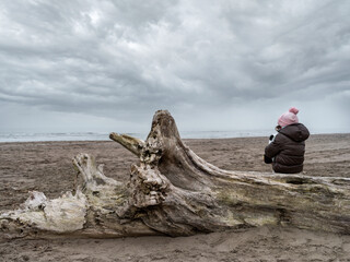 Landscape of a winter beach with little girl sitting on a tree trunk 