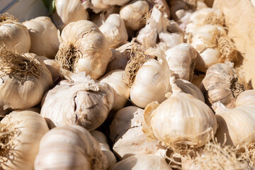 organic white garlic on a display at a small farmers market