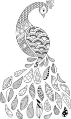 Vector Illustration Adult Coloring Book Page Doodle Abstract Peacock Line Art White Background