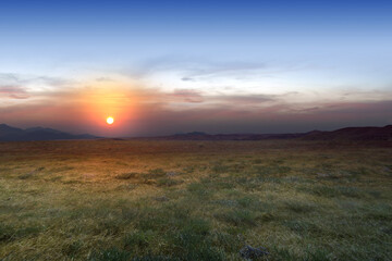 Meadow field