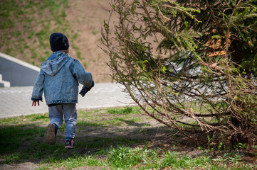 a child runs on a sunny day in a clearing near a spruce