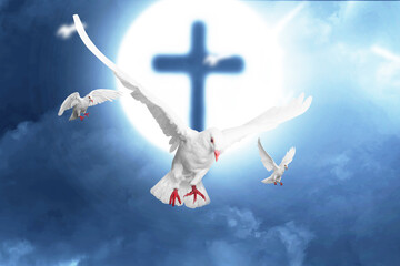Obraz na płótnie Canvas Christian Cross and pigeon flying