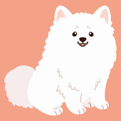 Fototapeta premium Flat colored simple and adorable Japanese Spitz sitting illustration