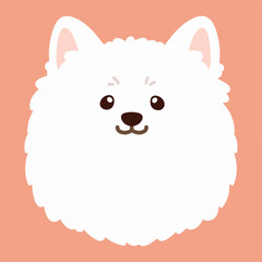 Flat colored simple and adorable Japanese Spitz front head illustration
