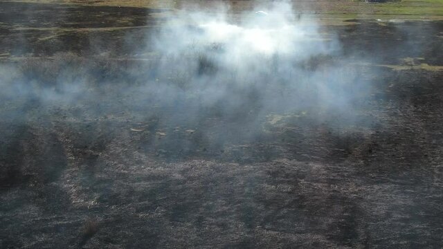 Flying over a fire in the forest. Black burned field, there is a strong thick smoke. Drone flying over fire