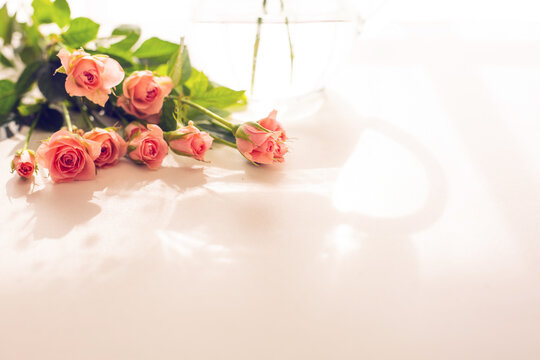 春の朝のイメージ　ピンクの薔薇の花束とガラスの花瓶