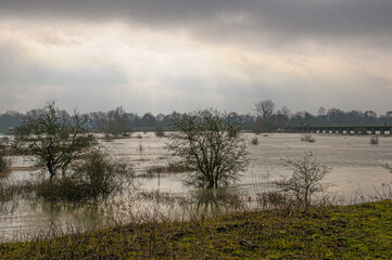 High water along the Rhine in Arnhem