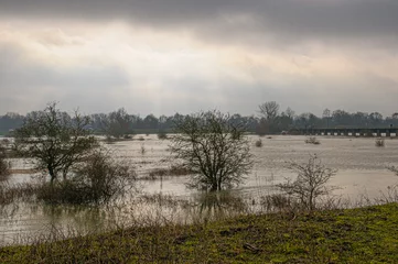 Fototapete High water along the Rhine in Arnhem © jos