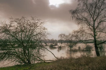 Papier peint photo  High water along the Rhine in Arnhem  © jos